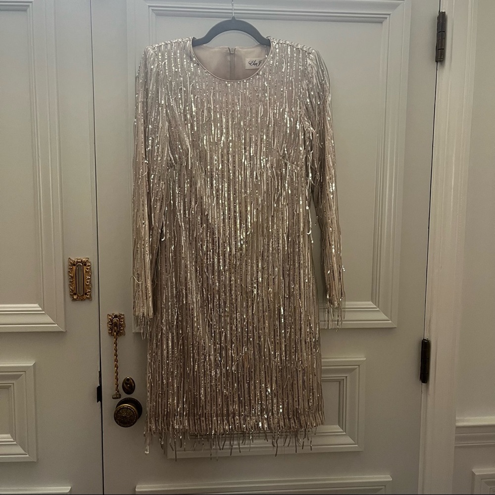 Eliza J Sequin Fringe Dress Size 6